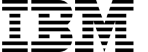 ibm-logo-2